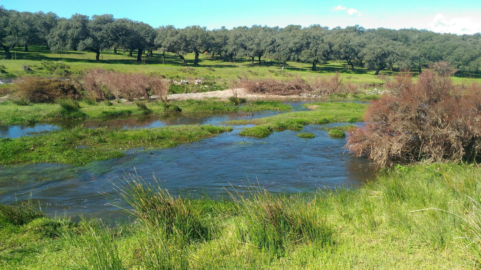 Fotos de la ruta circular de El Real de la Jara