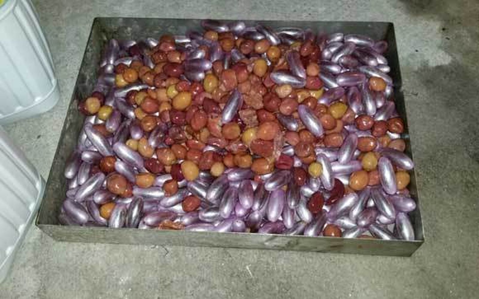 Descubiertas 1.284 bellotas de hachís en Algeciras ocultas en garrafas de aceituna