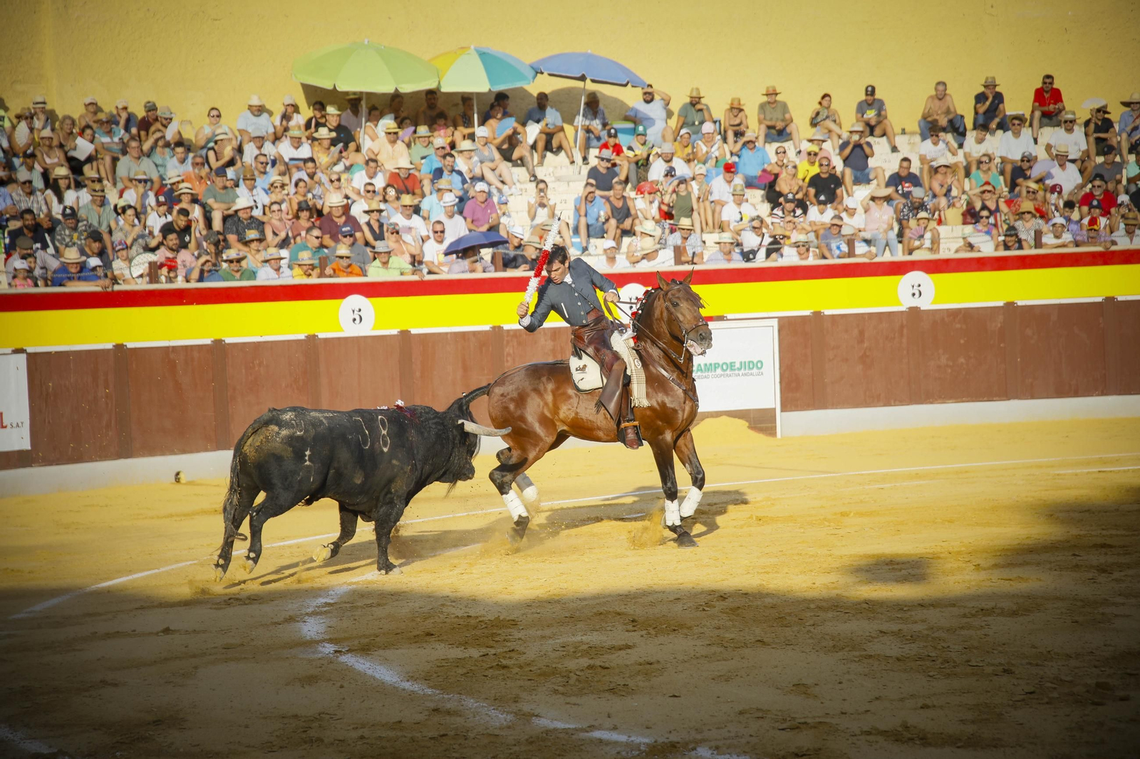 Corrida de toros Berja con un toro indultado, en imágenes