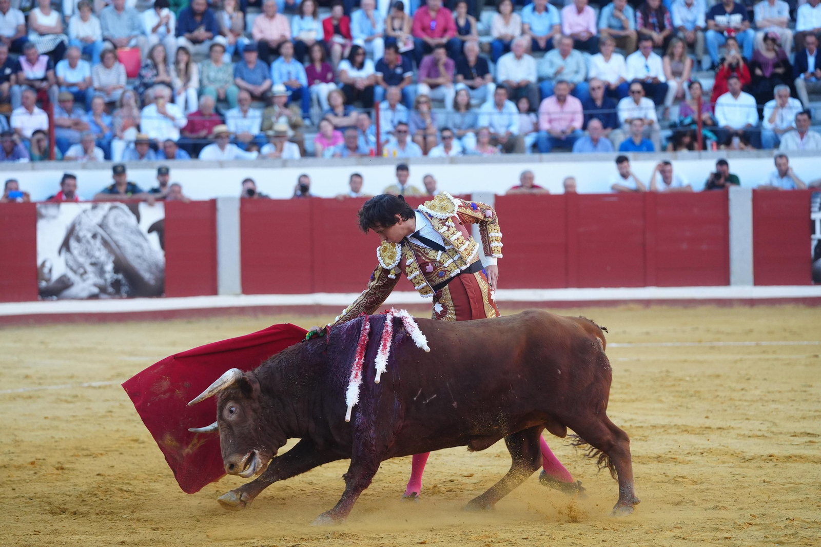 El triunfo de Rocío Romero, Manzanares y Roca Rey en la plaza de toros Pozoblanco, en imágenes