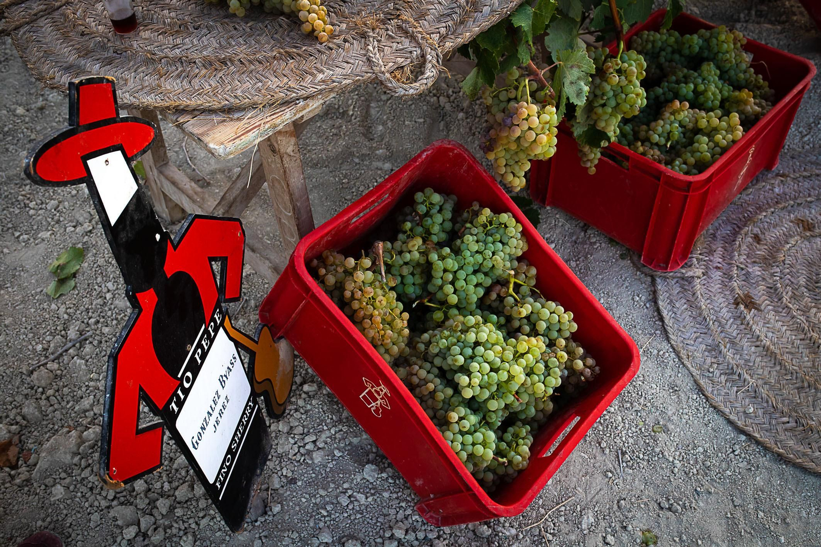 La vendimia nocturna de Tío Pepe