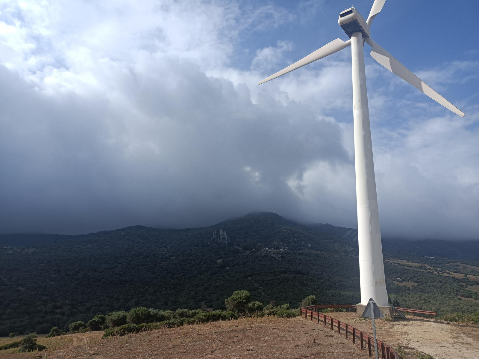 Al subir a la Loma del Mosquito, damos con un sendero que va a los pies de los aerogeneradores.
