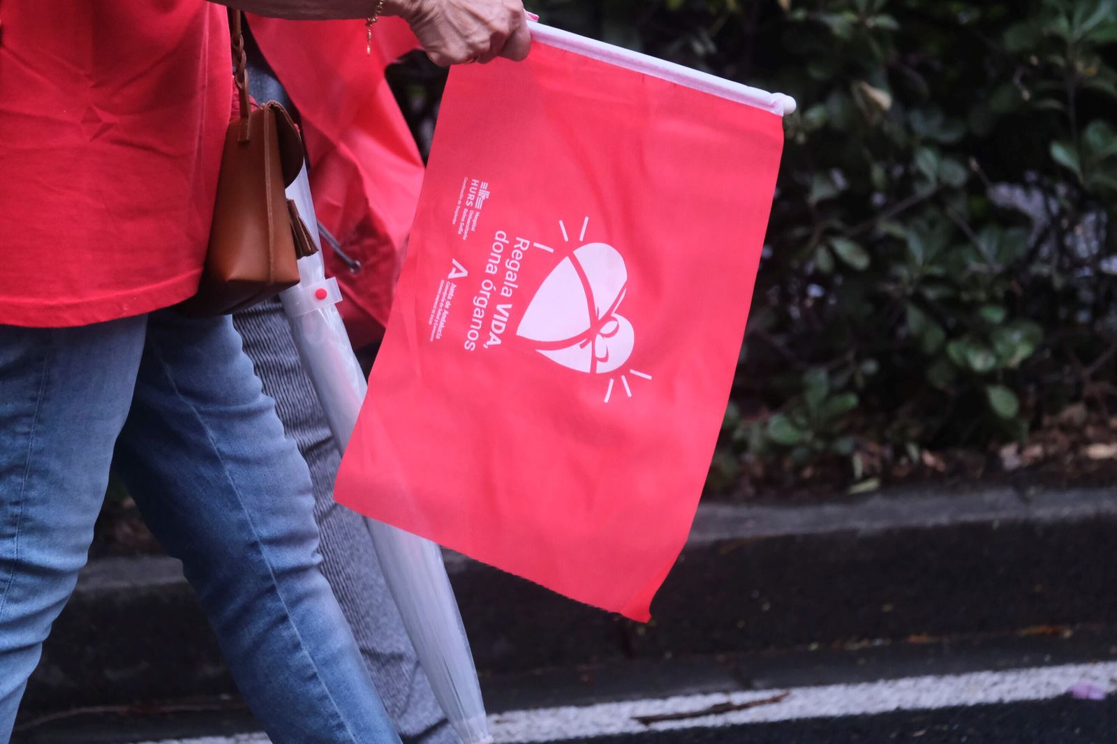 La marcha por la donación tiñe de rojo las calles de Córdoba, en imágenes