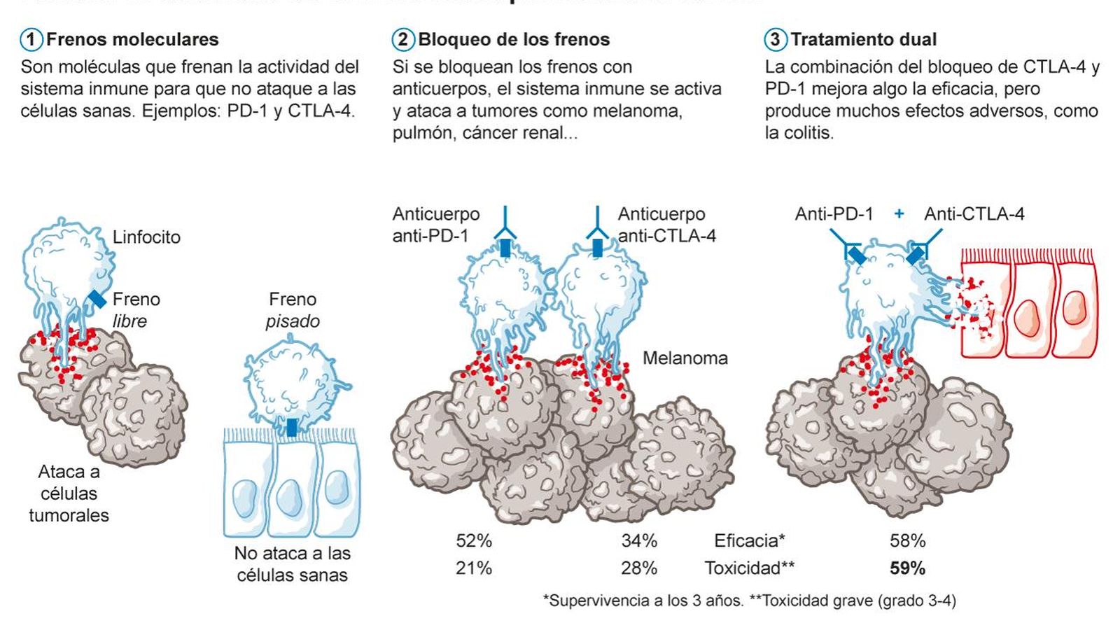 Proceso de la reducción de la toxicidad del tratamiento