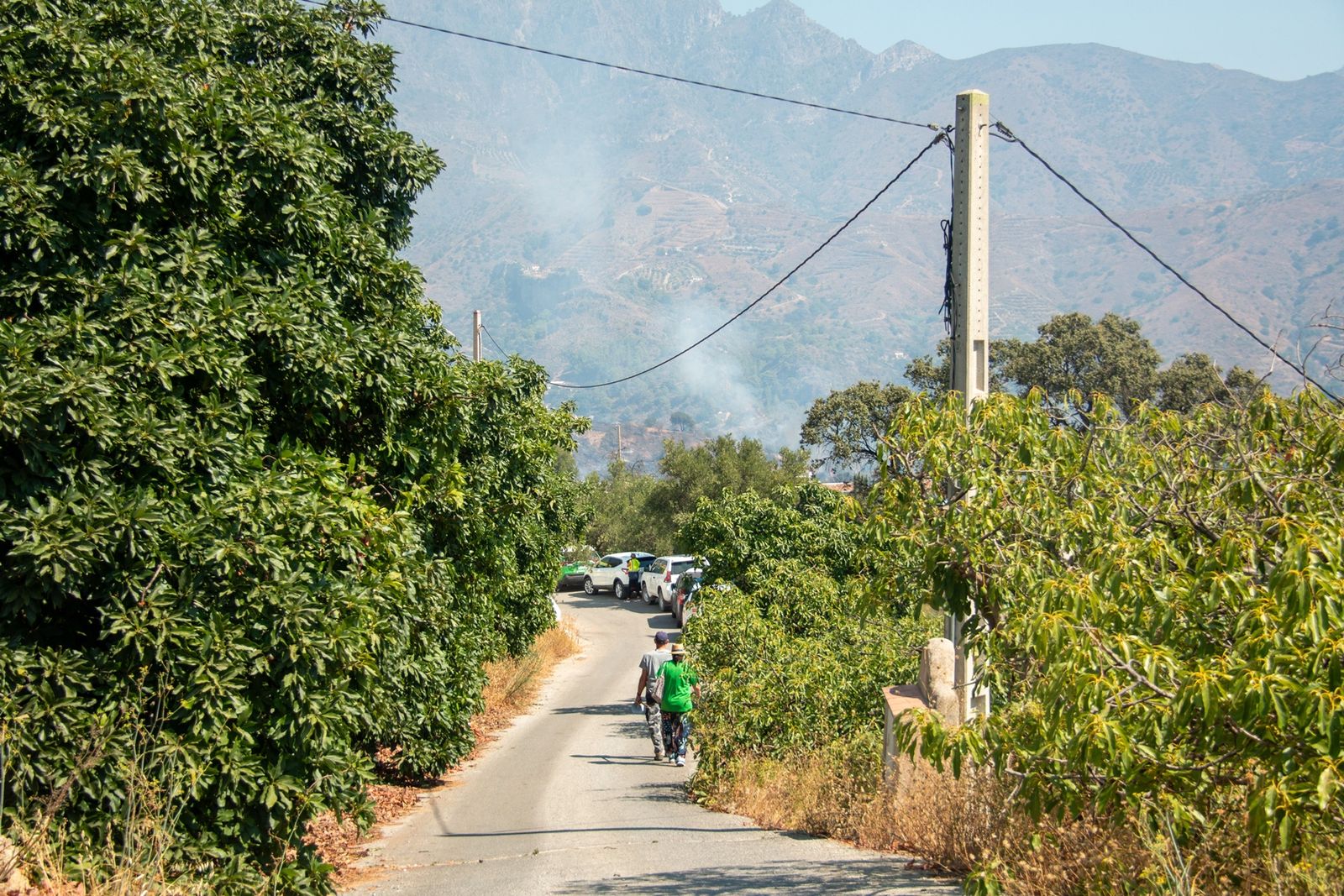 El trabajo para controlar el incendio de Almuñécar, en imágenes