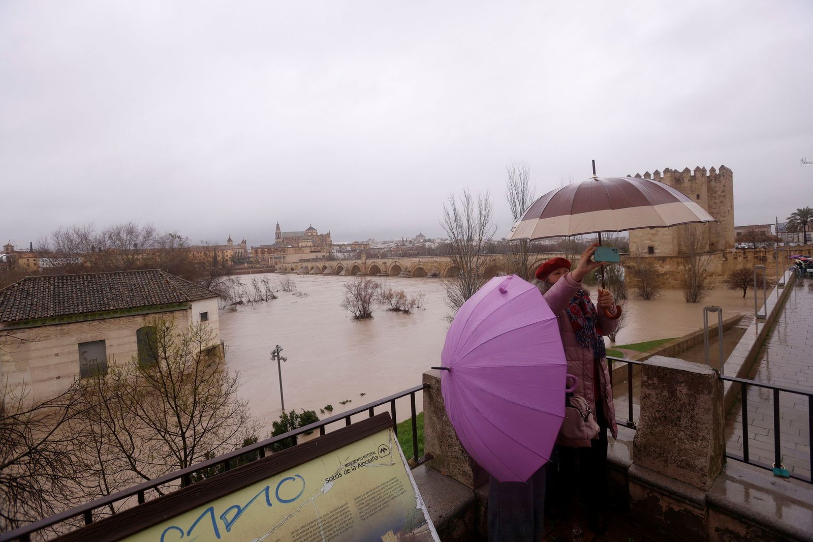 Así se muestra el río Guadalquivir a su paso por Córdoba a la espera de otra crecida