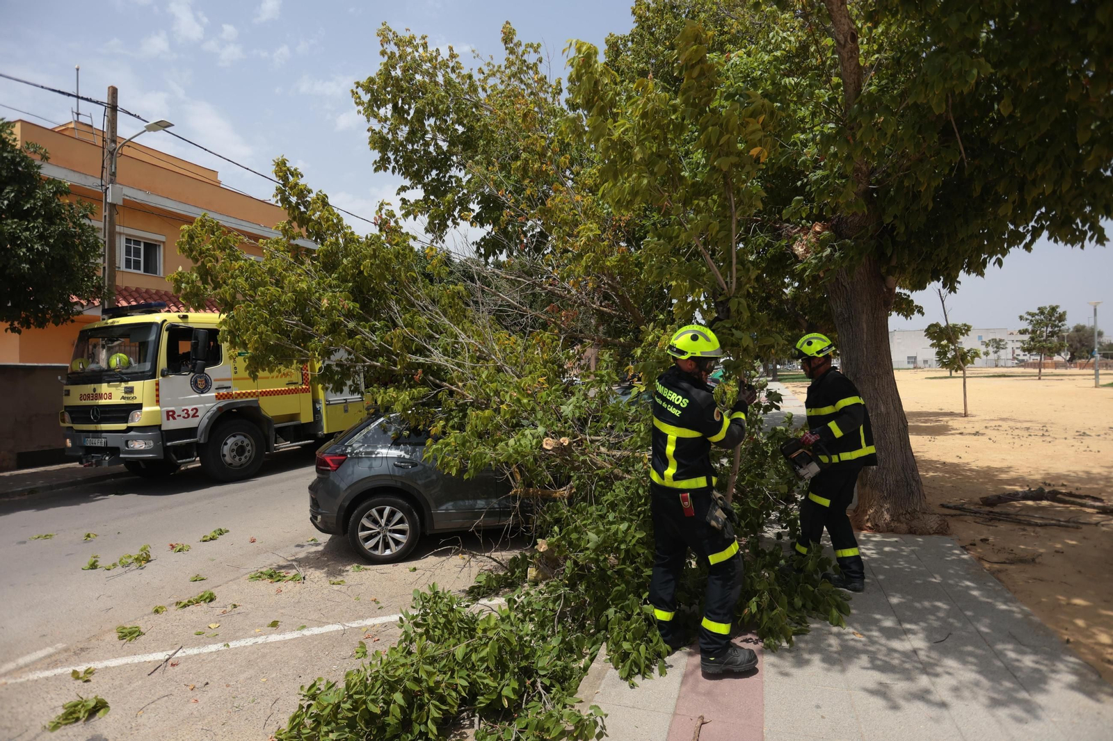 Los efectivos de bomberos de Jerez retirando las ramas del vehículo