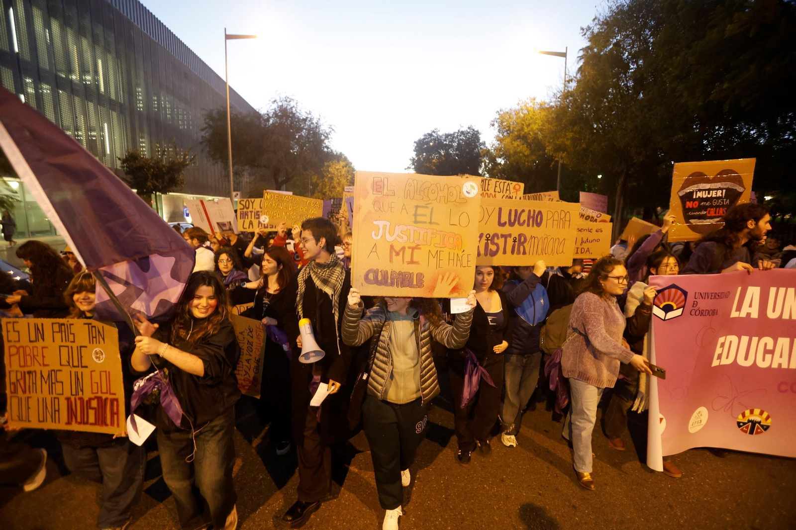 La manifestación del 25N en Córdoba