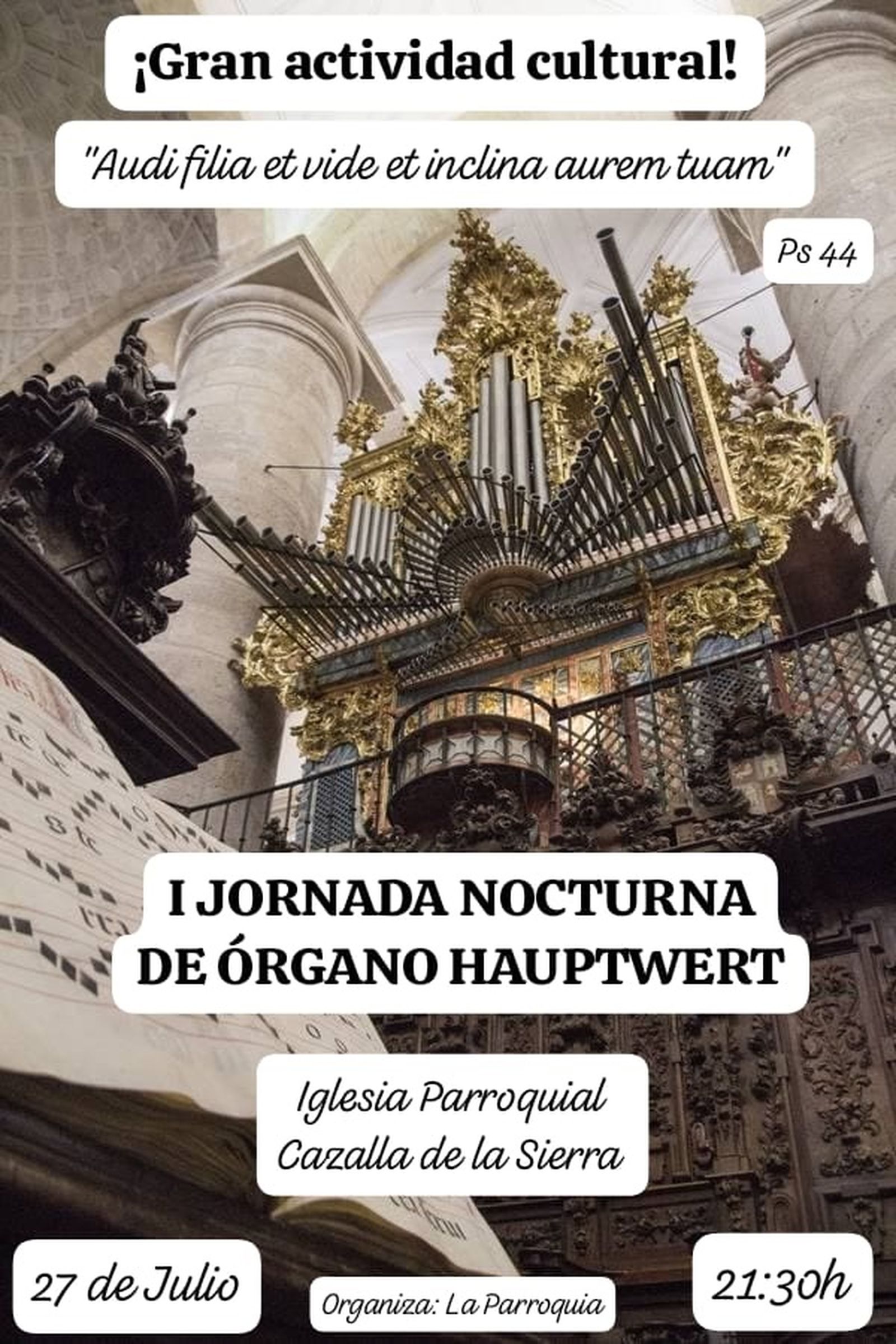 Cartel de esta nueva actividad