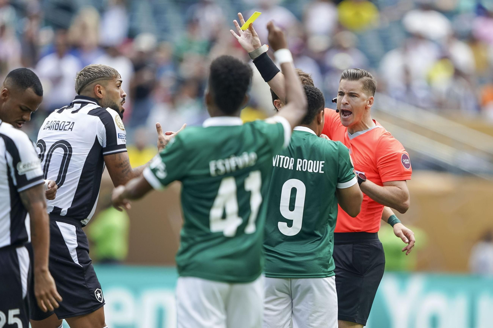 Palmeiras-Botafogo (58).jpg