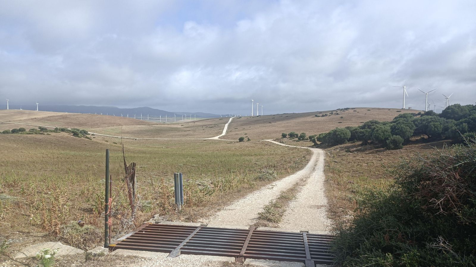 Una amplia llanura con el parque eólico extendiéndose kilómetros y kilómetros.