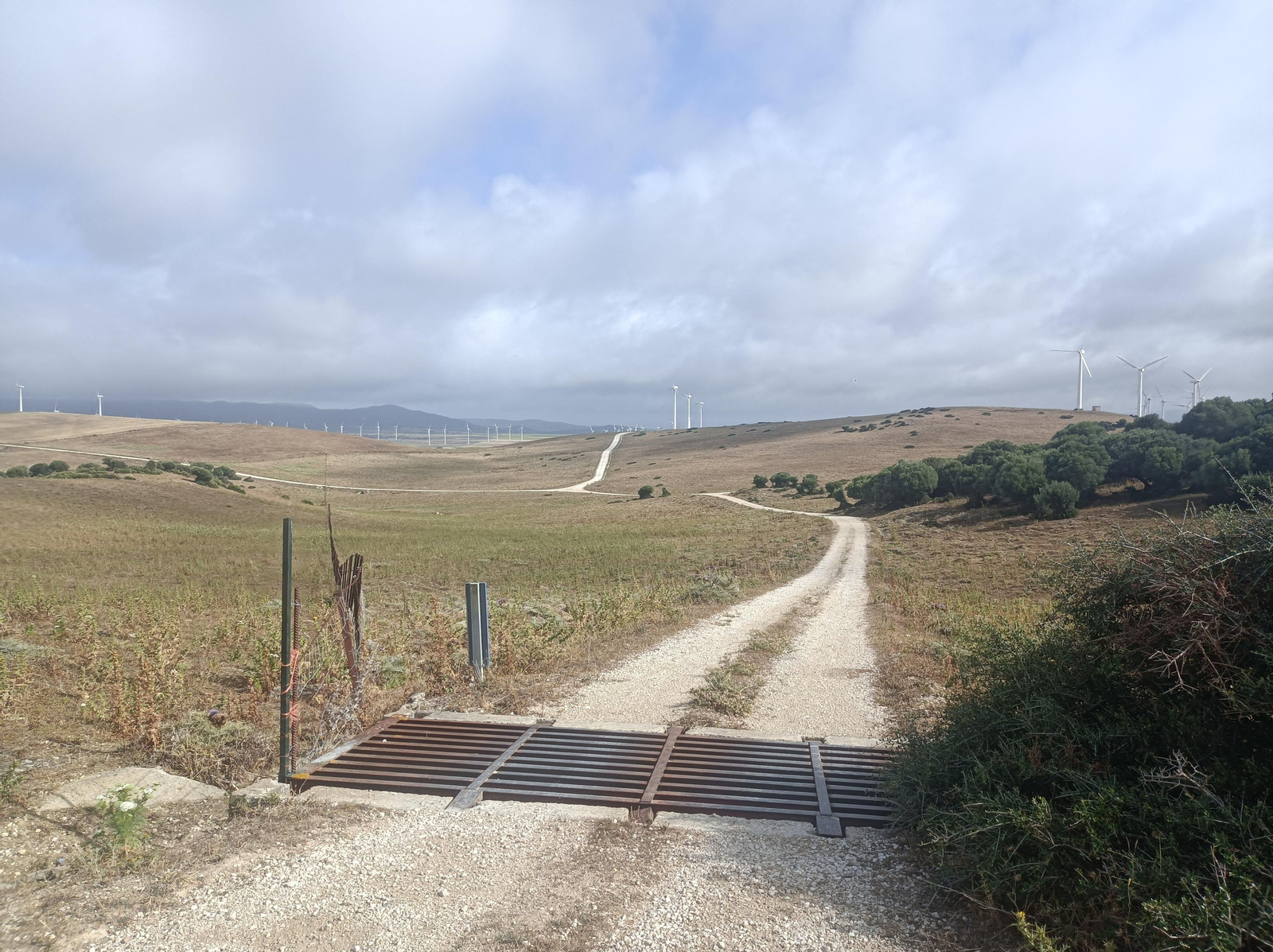 Una amplia llanura con el parque eólico extendiéndose kilómetros y kilómetros.