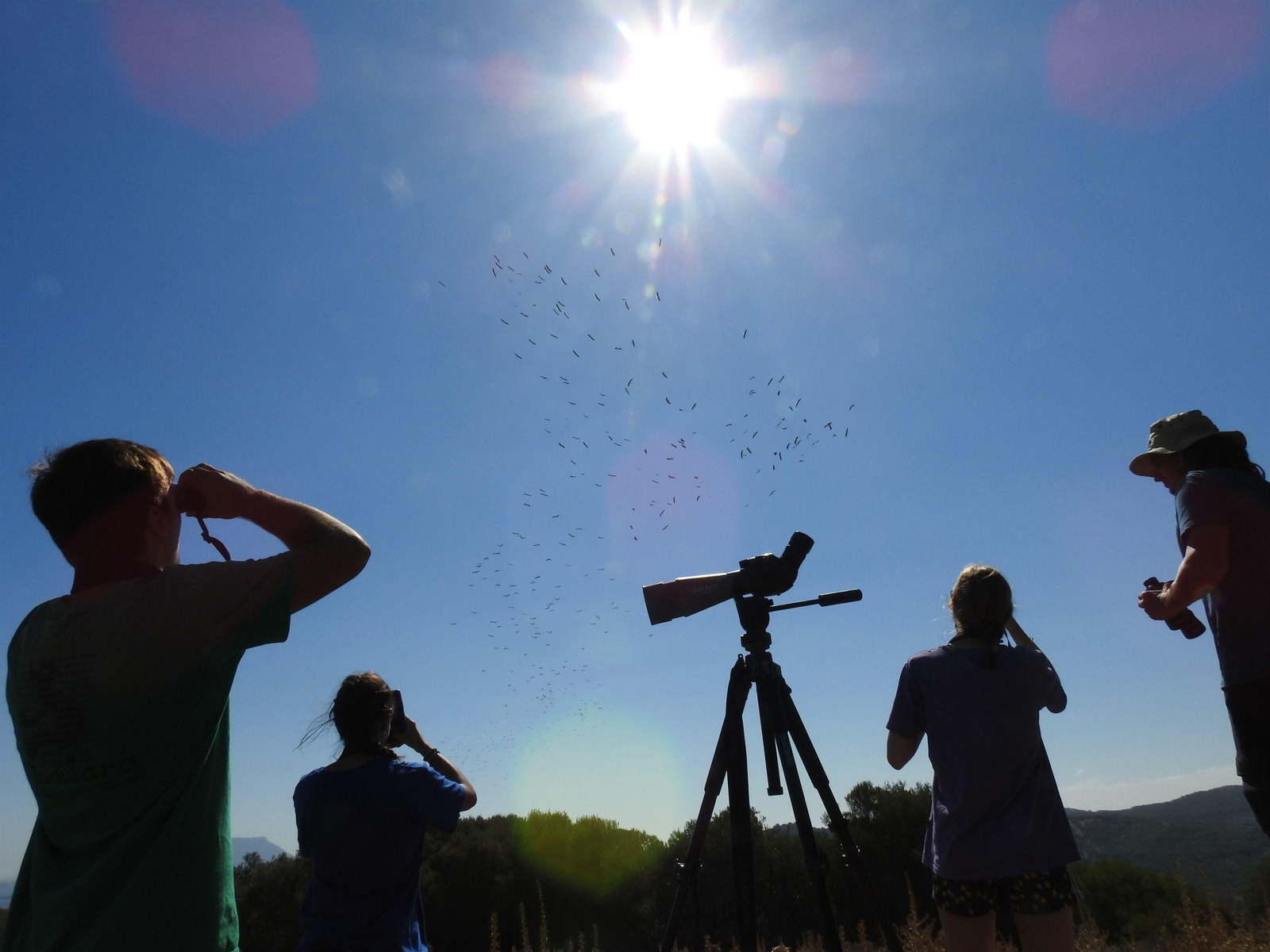 Avistamiento de aves desde la sede de la Fundación Migres.
