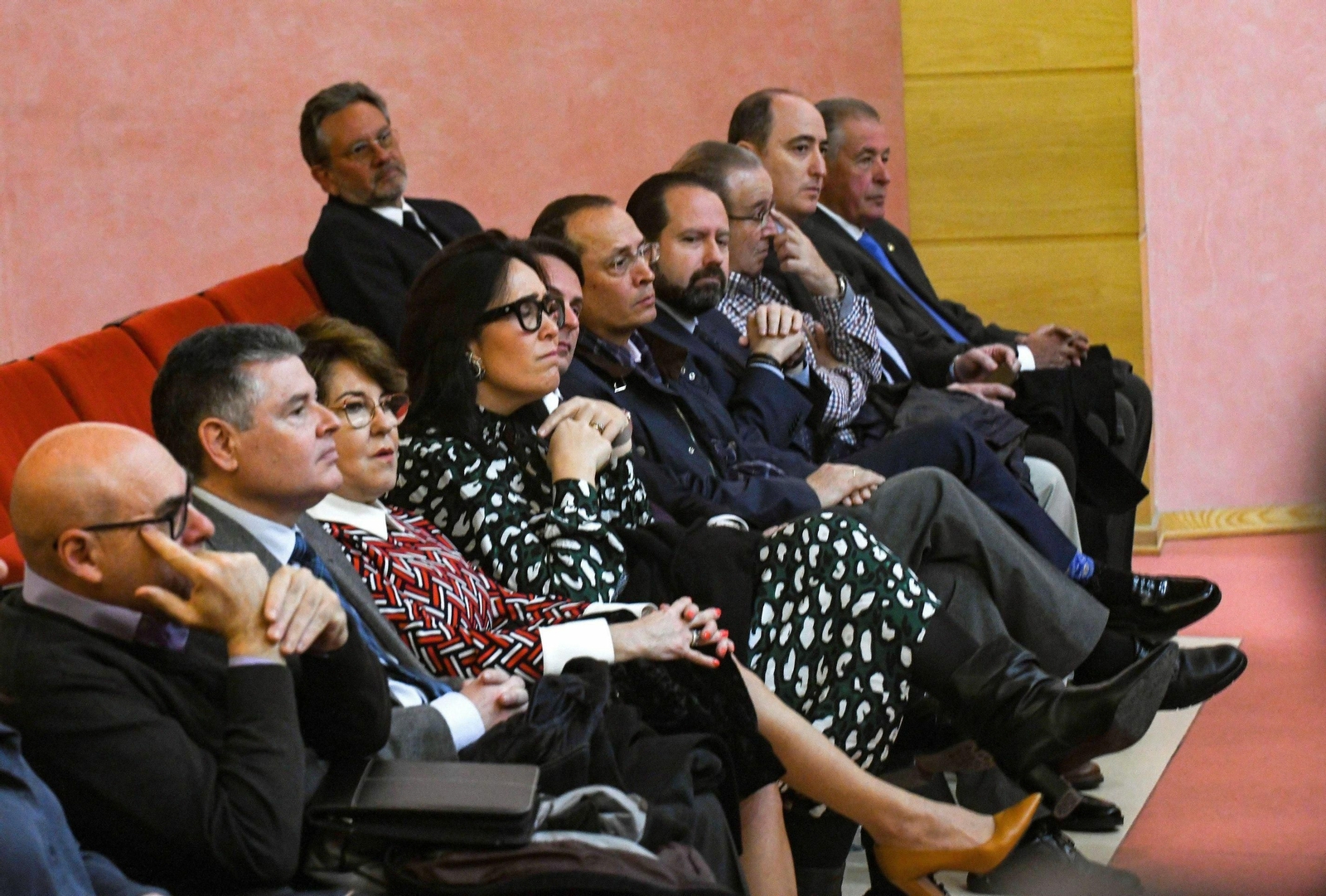 La Audiencia ha reanudado hoy el juicio por el caso Serrallo.