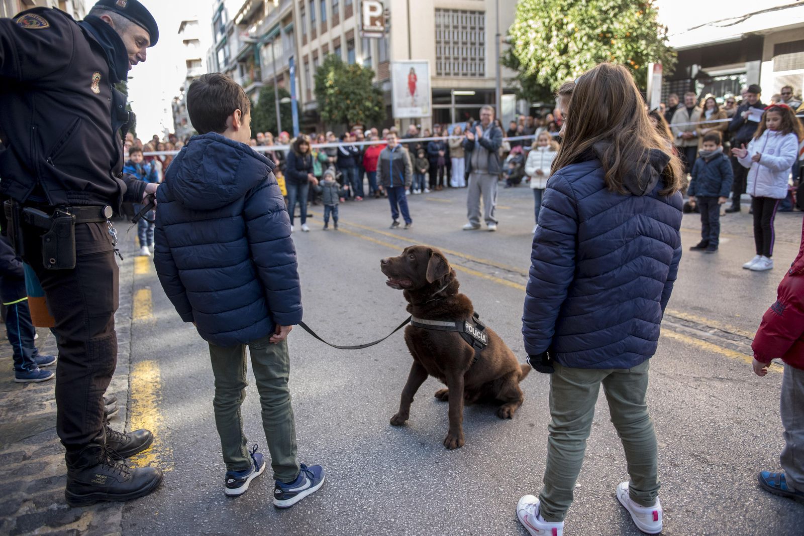 Las imágenes del Día sin coches
