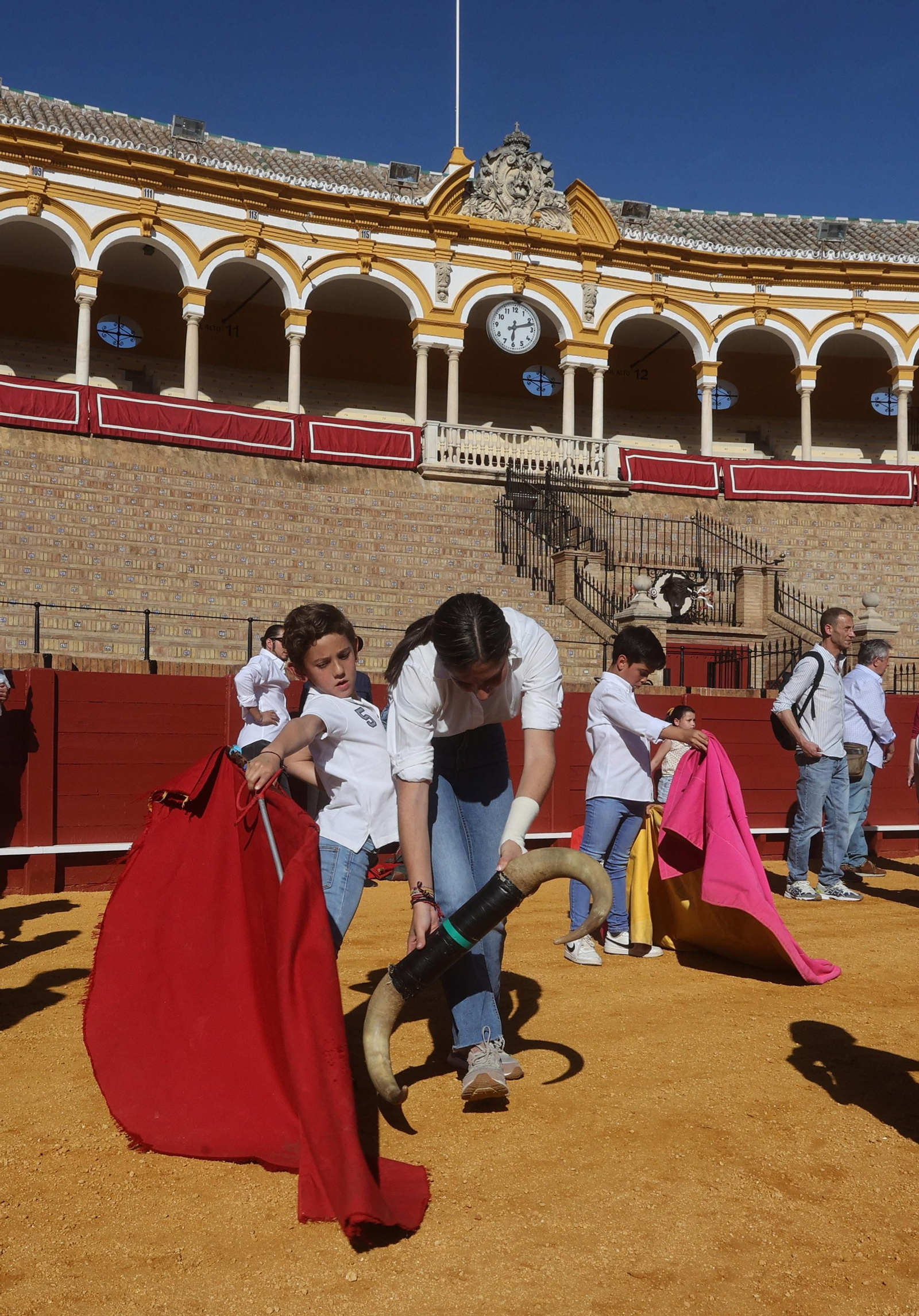 Jornadas de puertas abiertas en la Real Maestranza