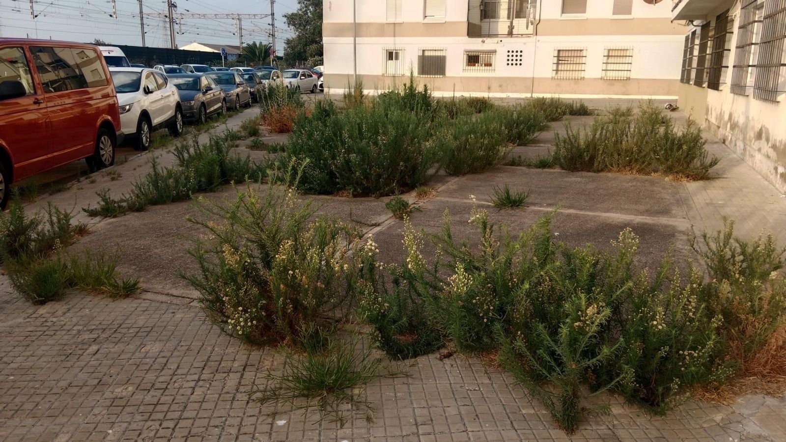 Aspecto que presentaba la plaza de los Geranios, en la barriada de El Tejar, antes de la actuación vecinal.