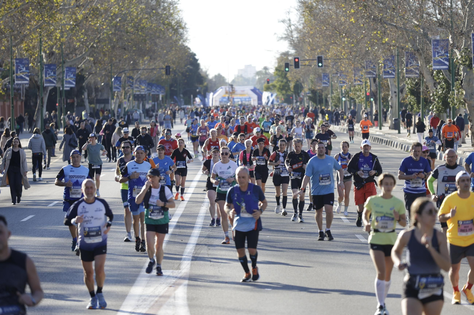 Búscate en el Zurich Maratón de Sevilla 2025