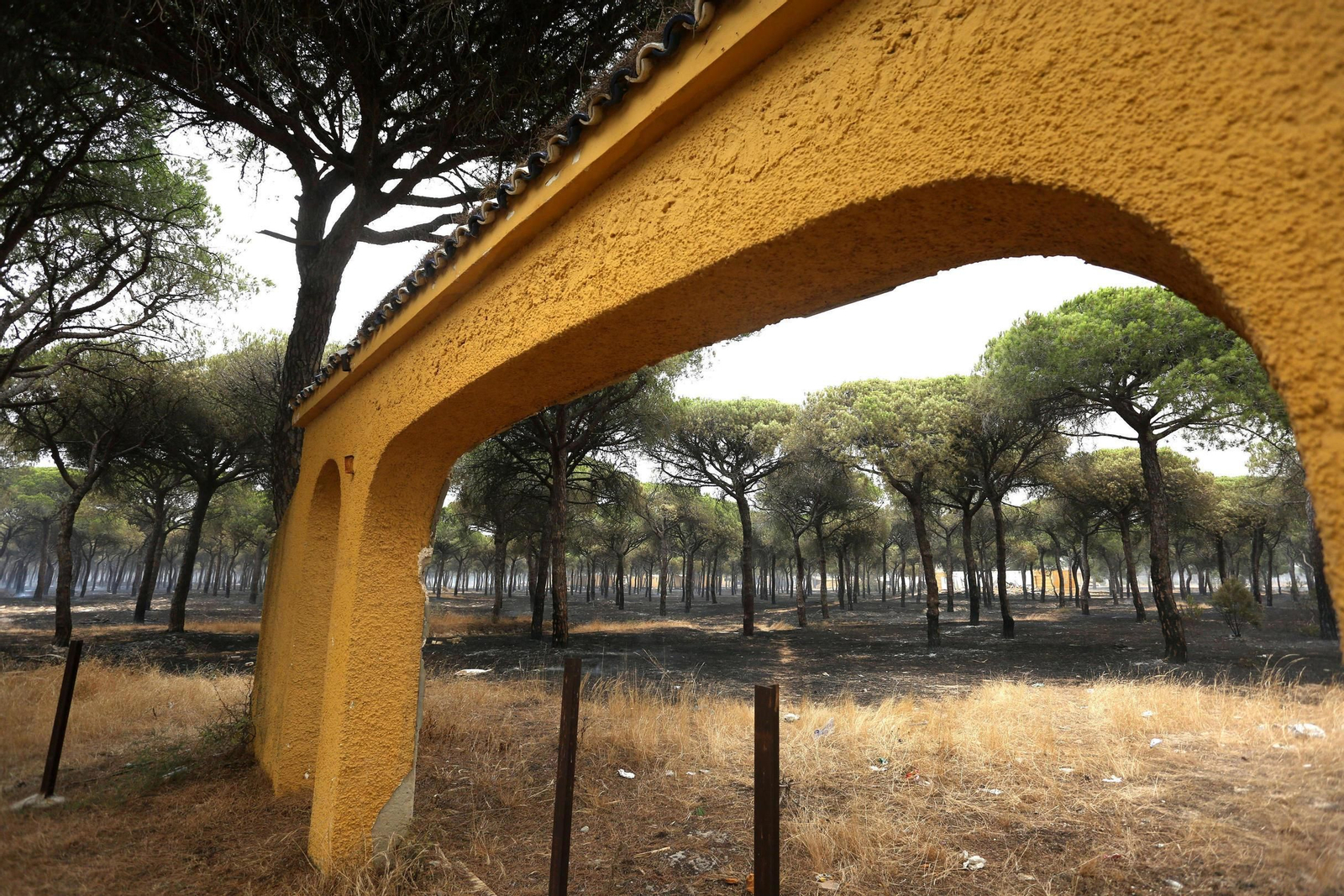 Las consecuencias del incendio en Mazagón