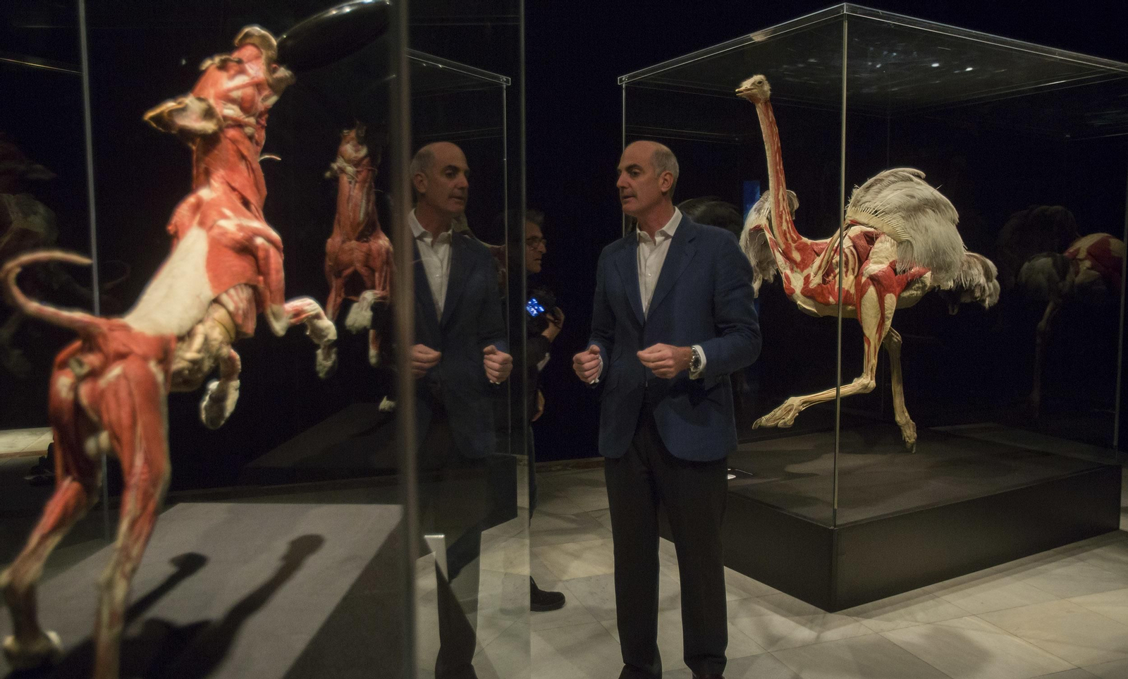 La exposición 'Animal Inside Out', en Sevilla