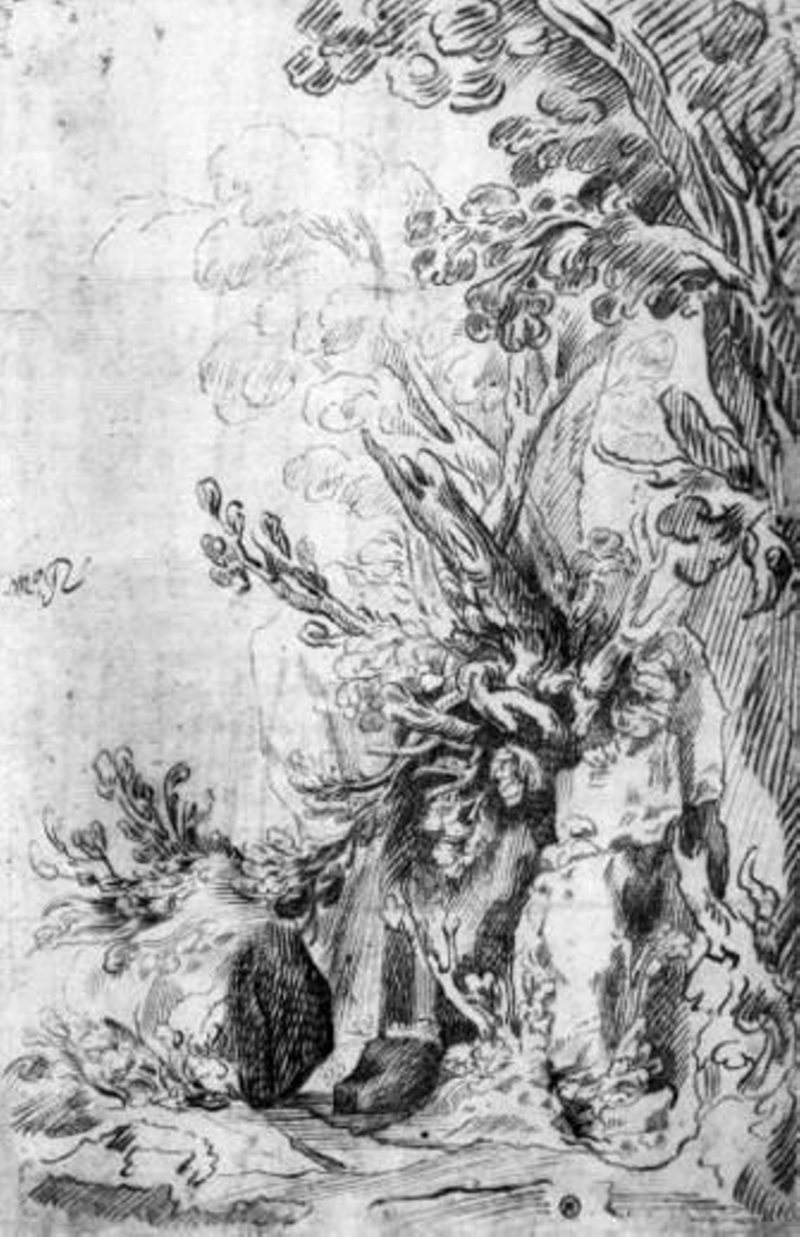 El dibujante gongorino