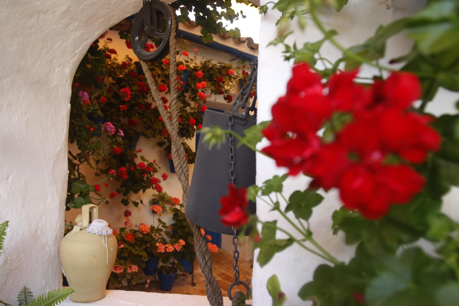 Ruta San Lorenzo de los Patios de Córdoba, en imágenes