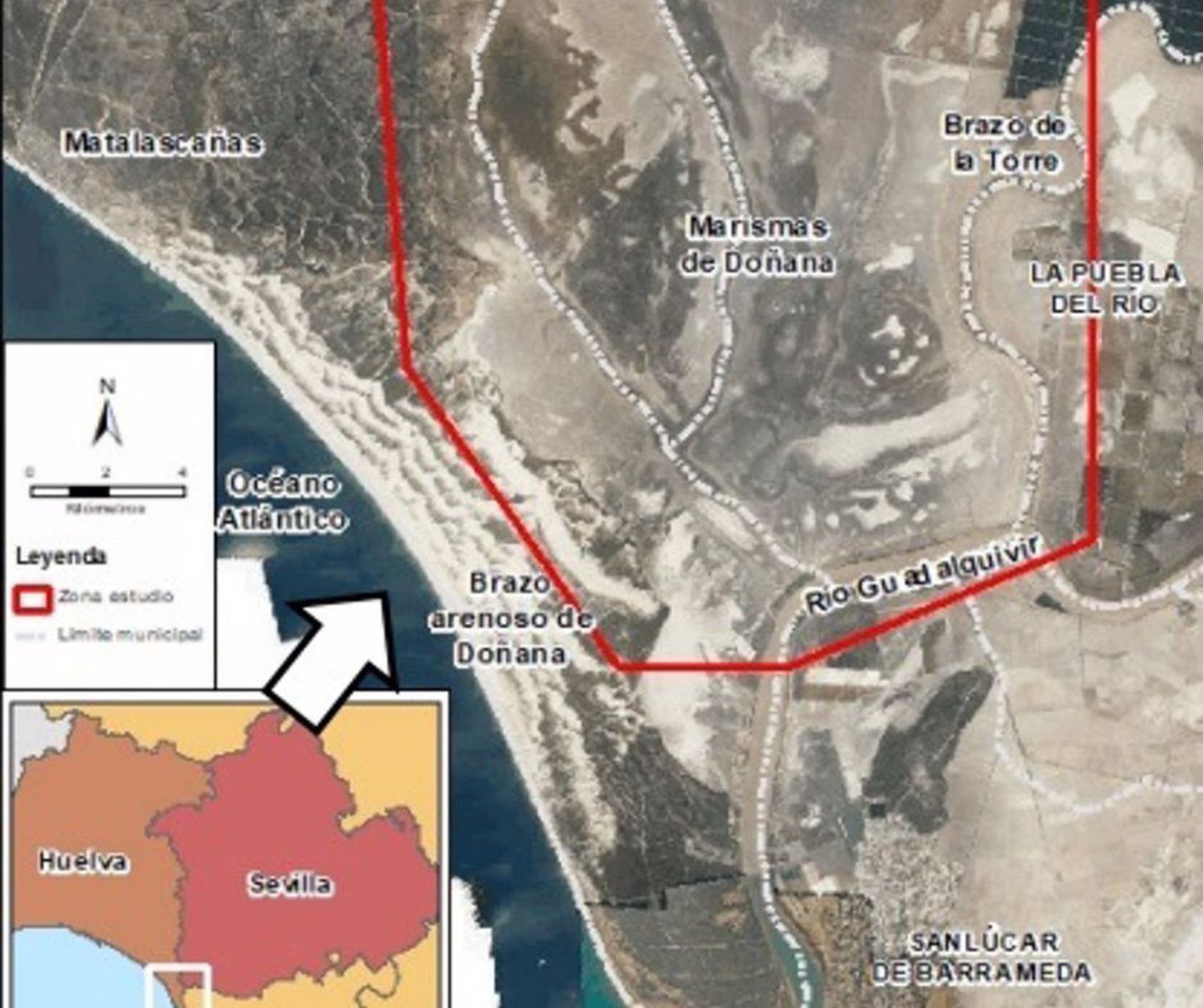 A información pública el deslinde de dominio público marítimo-terrestre de marismas en Doñana
