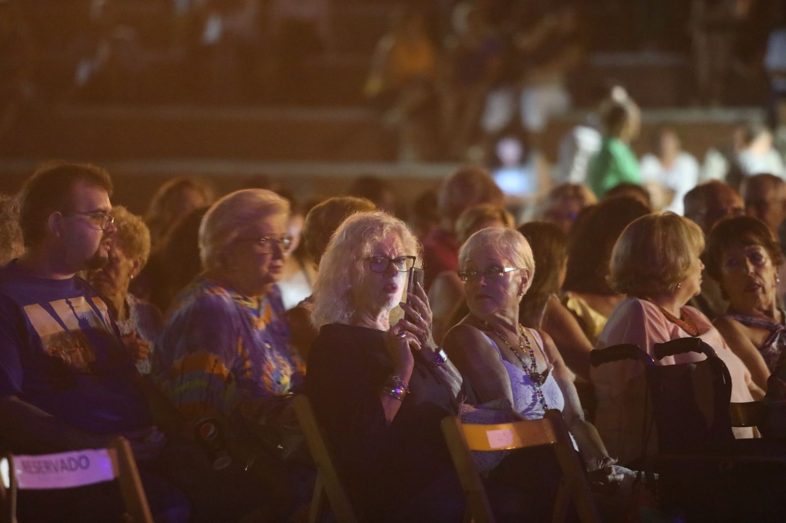 La noche flamenca en el Parque de San Fernando, en imágenes