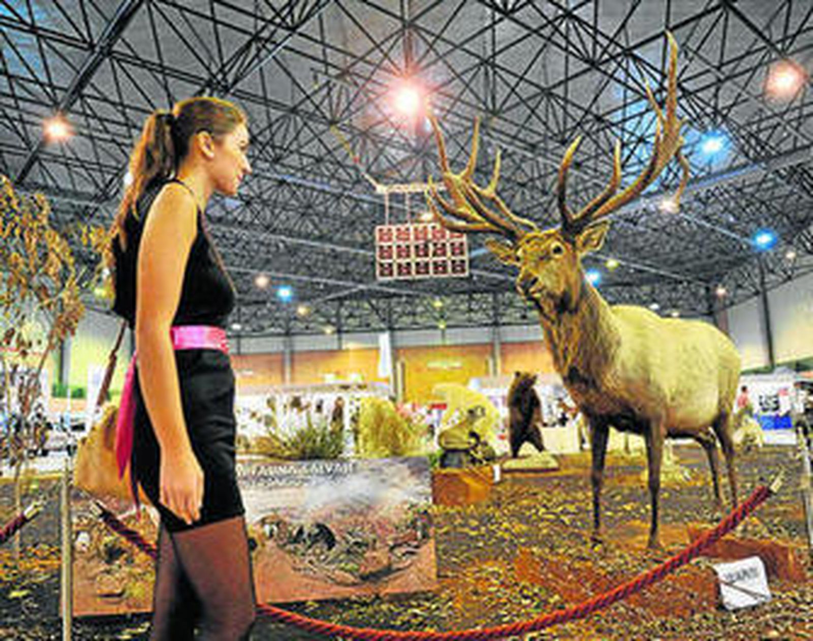 Una joven admira un gran expositor dedicado a la taxidermia.