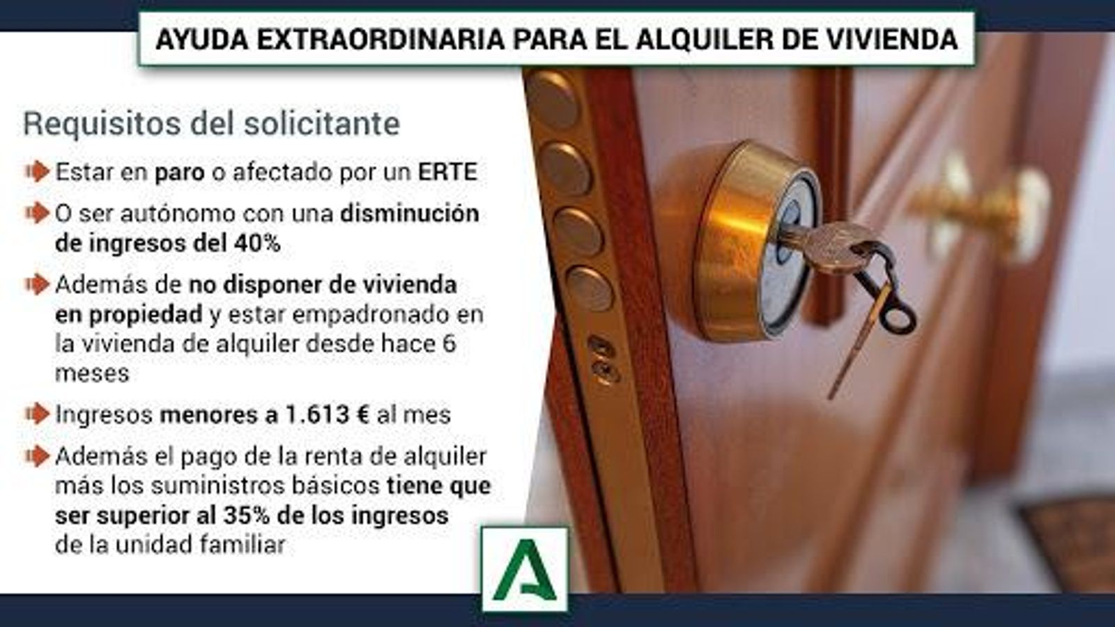 Algunos de los requisitos para poder optar a la ayuda.