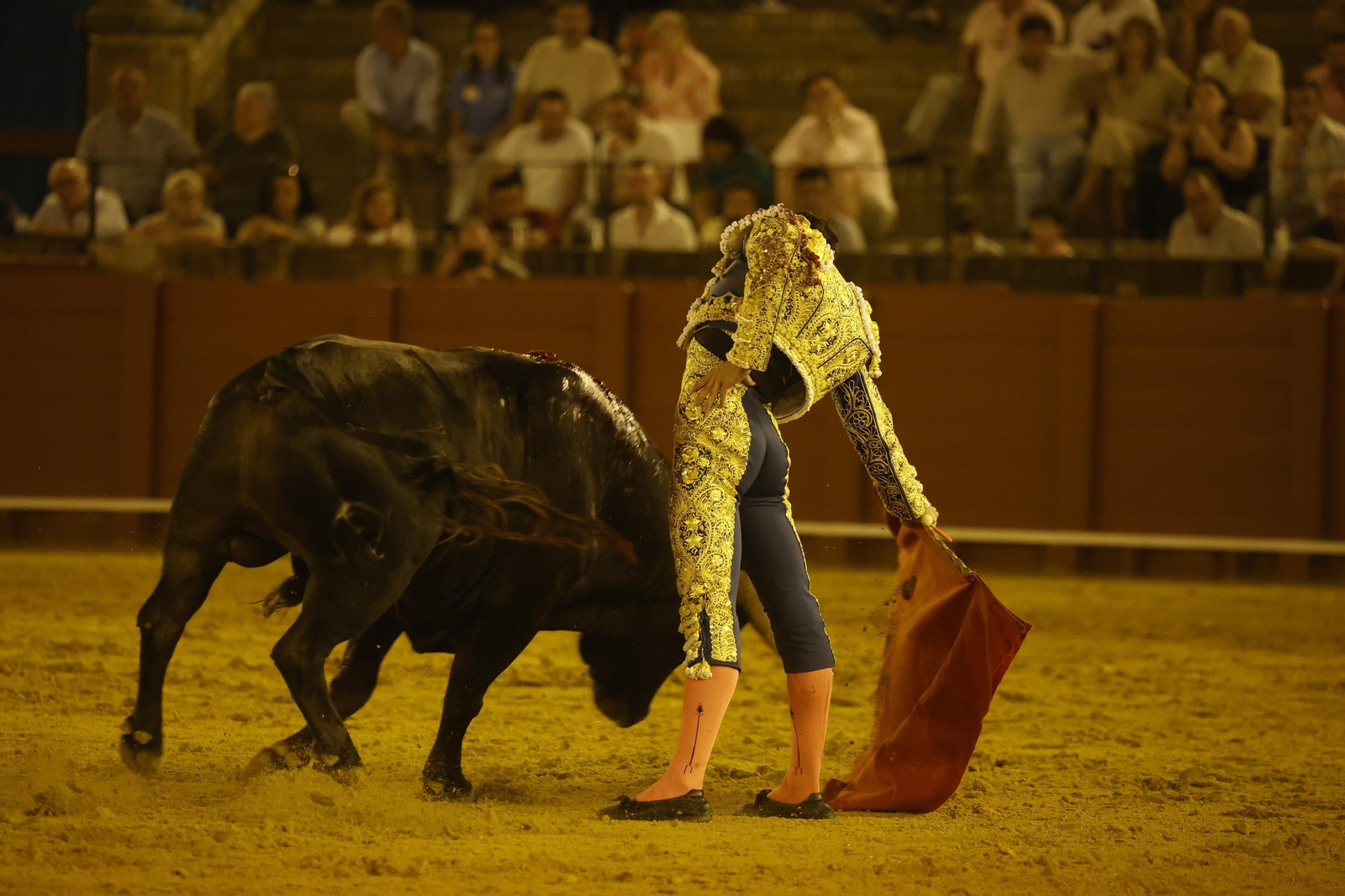 Las imágenes de la novillada en la Maestranza