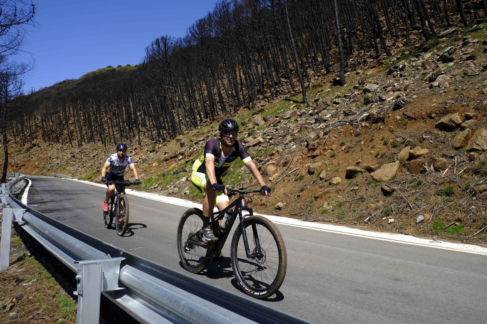 Así se recupera Sierra Bermeja tras el incendio (fotos)