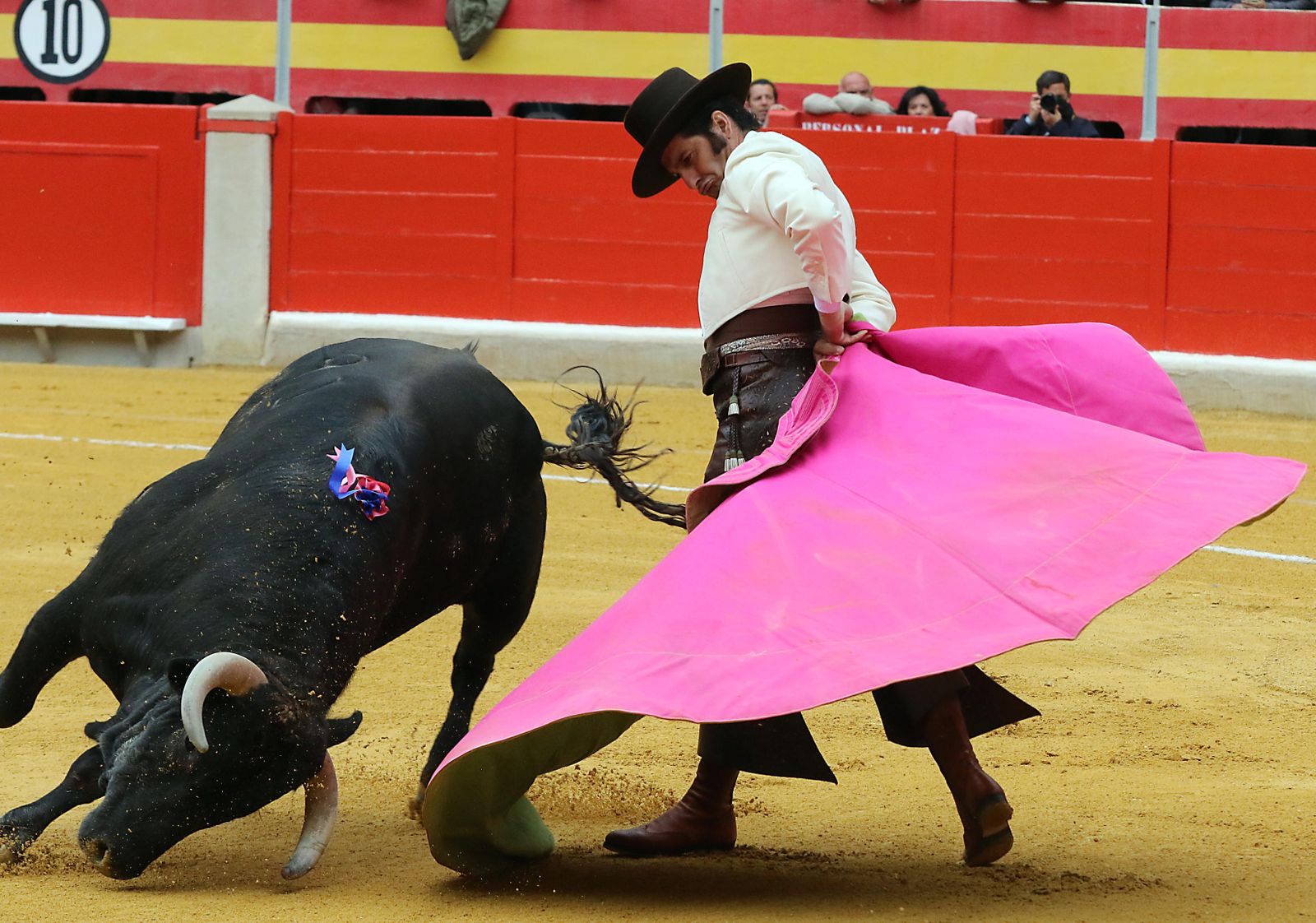 El Festival Taurino Granadown, en imágenes