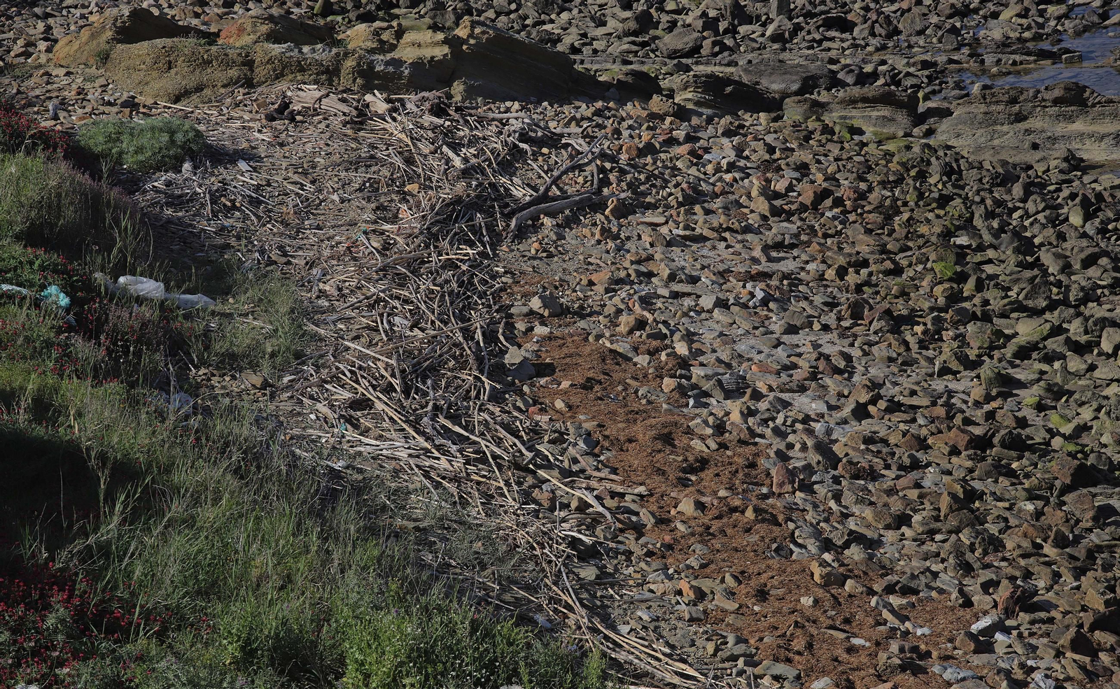 Fotos del estado de abandono del Parque del Centenario de Algeciras
