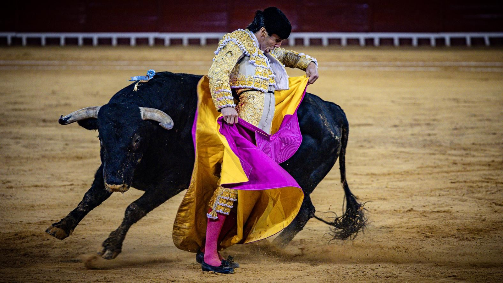 Las imágenes de la corrida de toros en El Puerto: Morante, Talavante y Juan Ortega