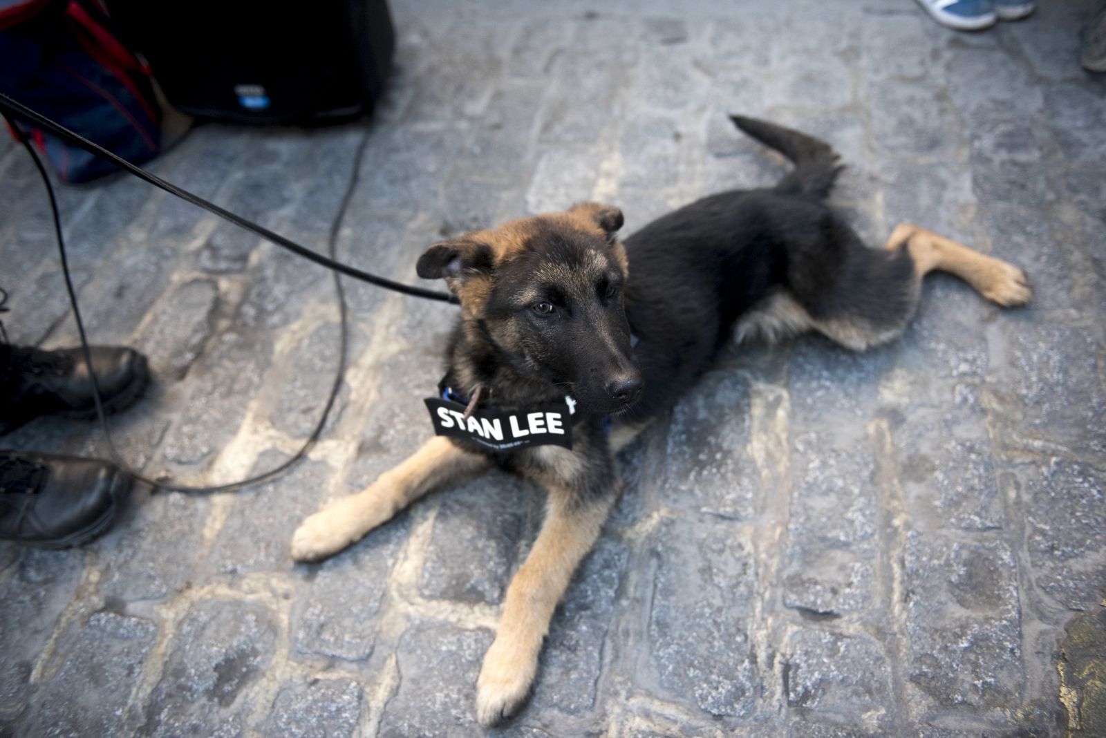 Las imágenes del Día sin coches
