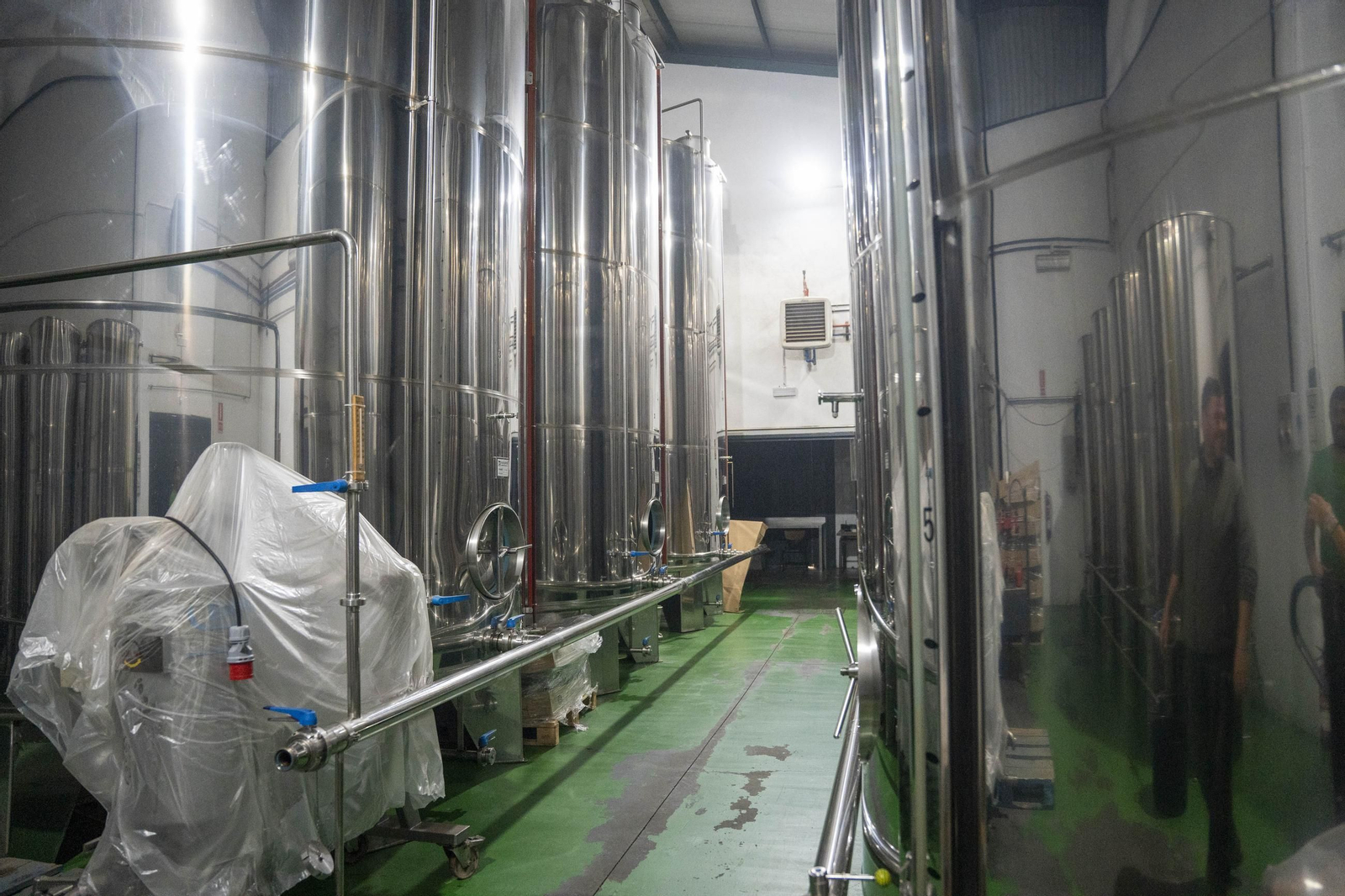 Os enseñamos como se hace el aceite en la almazara de Fiñana, en imágenes