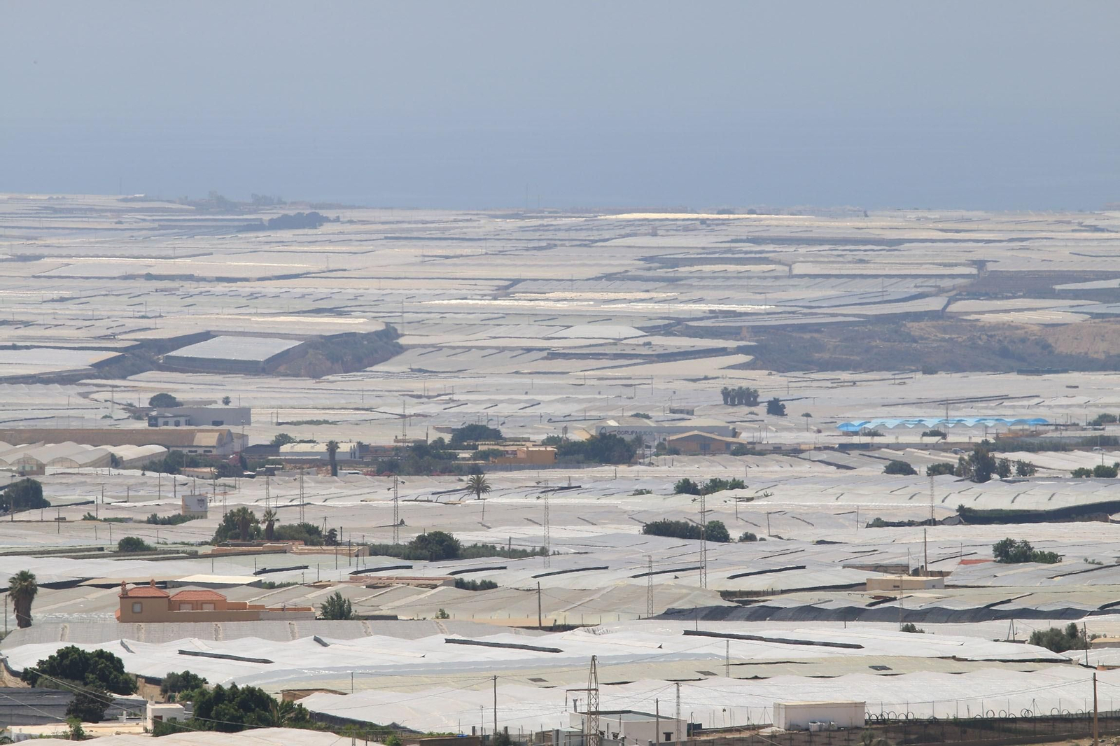 Mar de plástico de Almería. Mar de plástico de Almería.