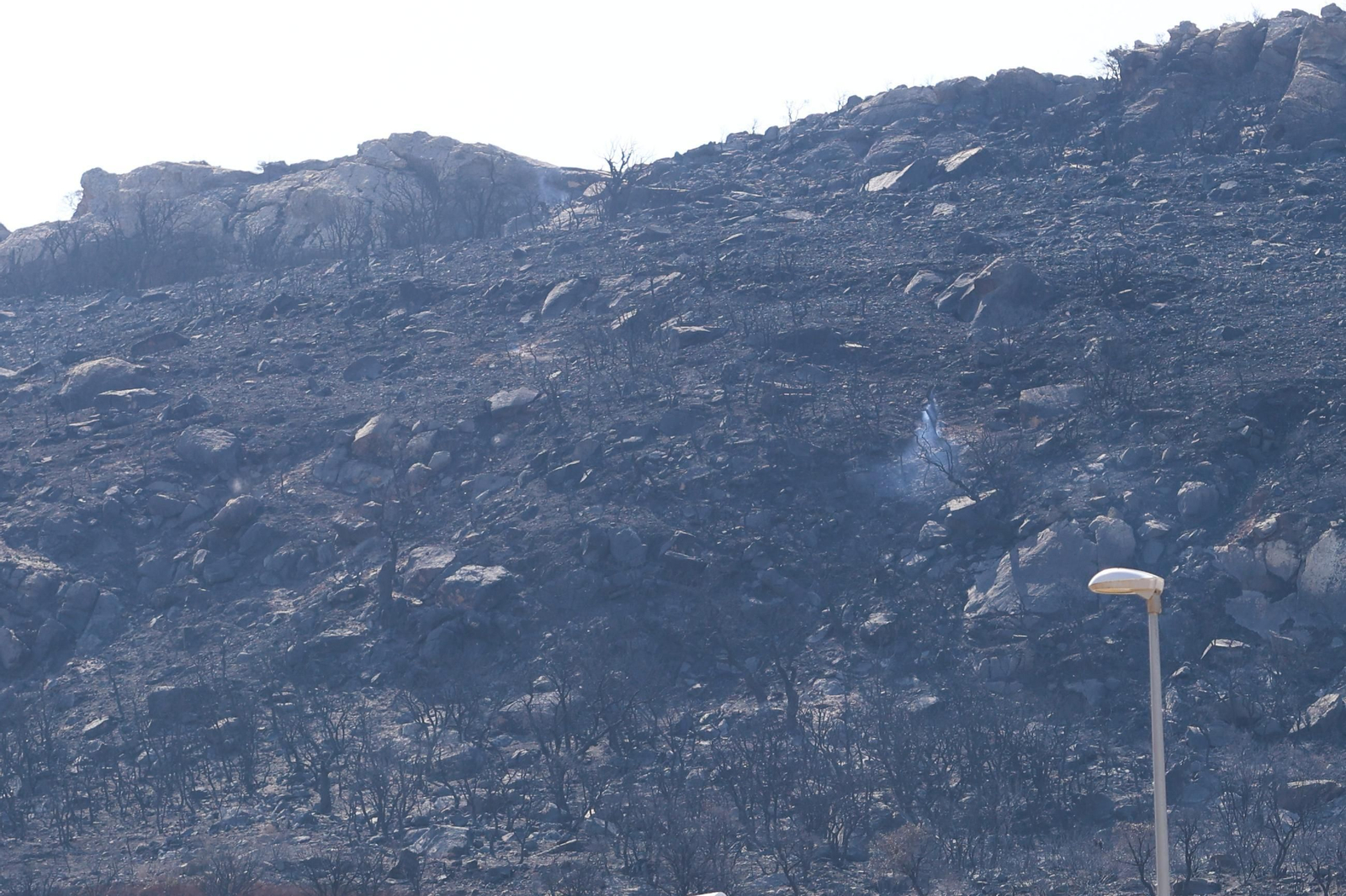 Las fotos de los efectos del incendio forestal en la Sierra de la Plata y Atlanterra, en Tarifa