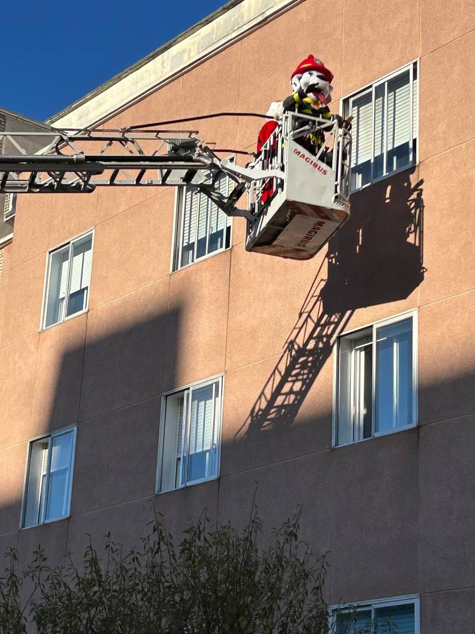 WhatsApp Image 2024-12-25 at 11.21.37 (11).jpeg