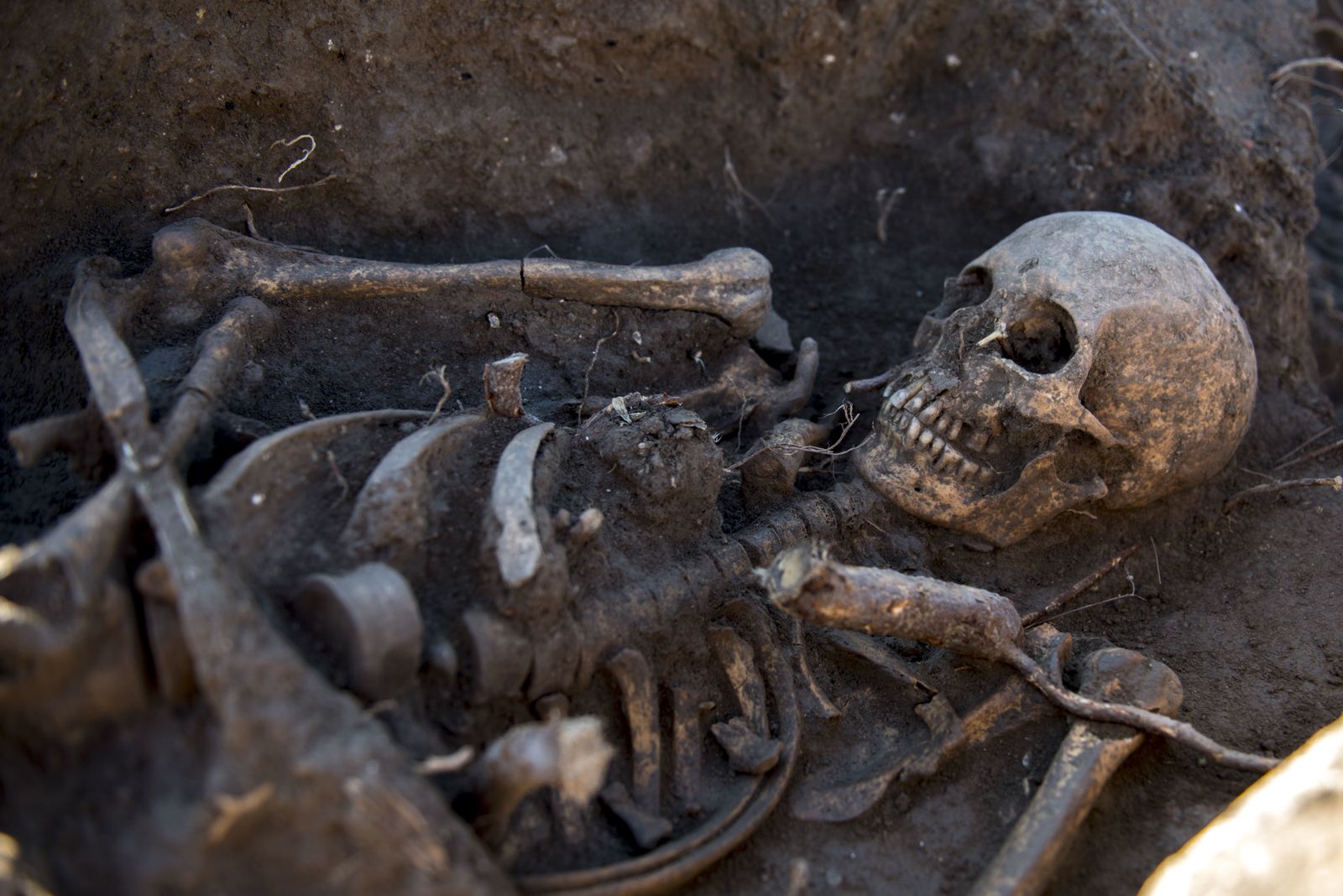 Nuevos hallazgos en Los Mondragones