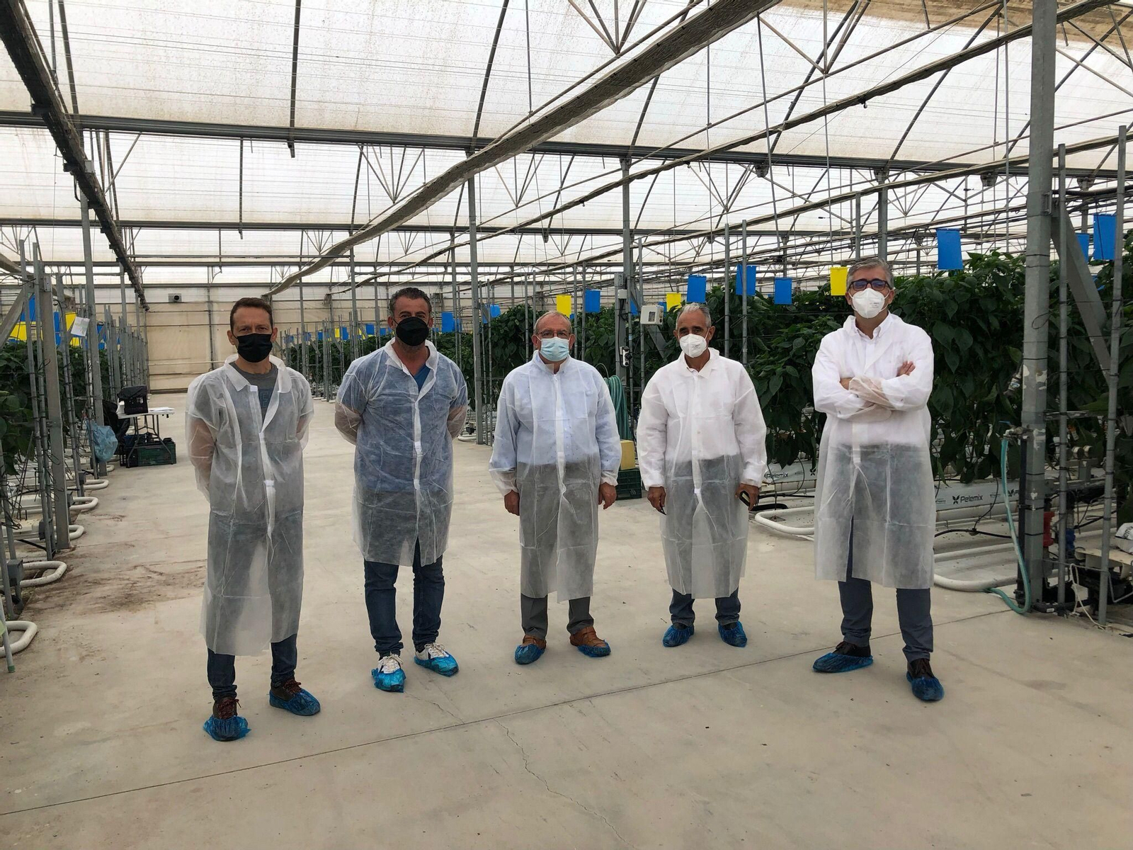 La agricultura, pilar fundamental para el desarrollo de Vícar