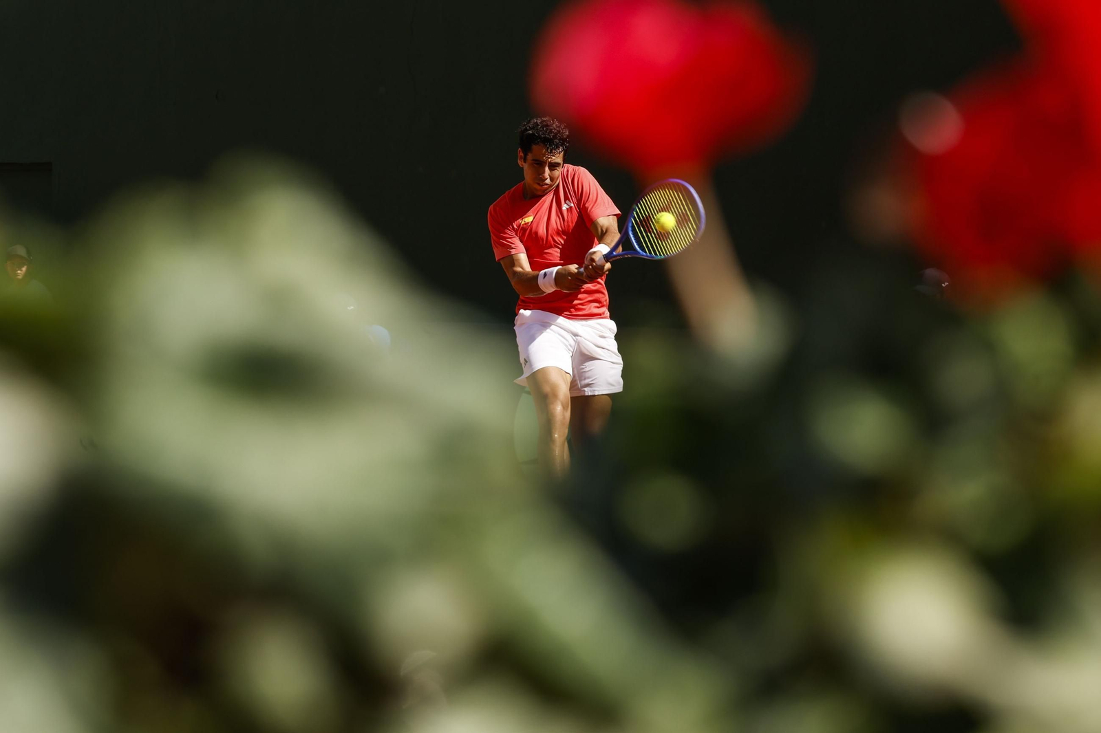 Jaume Munar pierde con Elmer Moller en la Copa Davis en Marbella