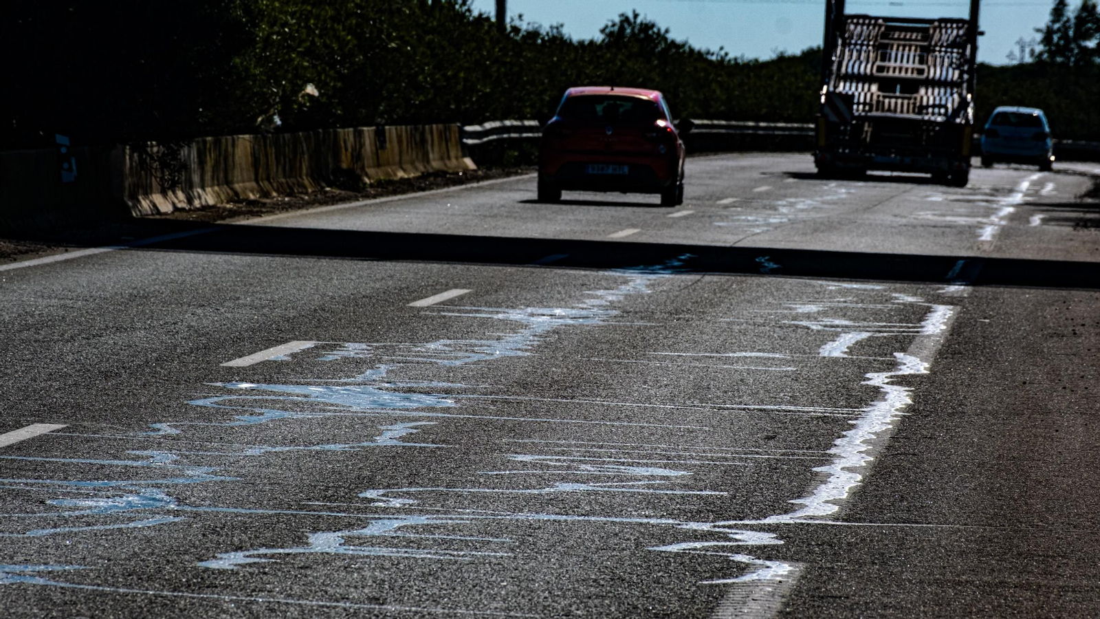 Las imágenes del estado de las carreteras de la provincia de Cádiz