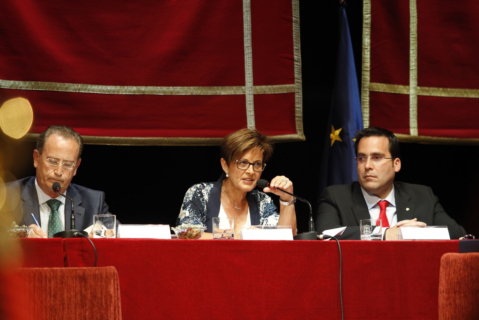 Fotogalería Pleno Constitución Ayuntamiento de Almería