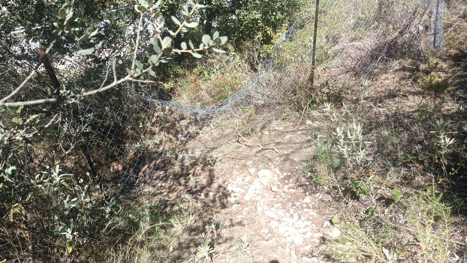 Fotos del ascenso al Pico del Terril