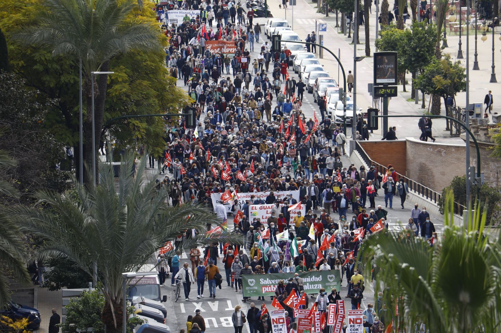 Manifestación en defensa de la sanidad pública en Córdoba, en imágenes