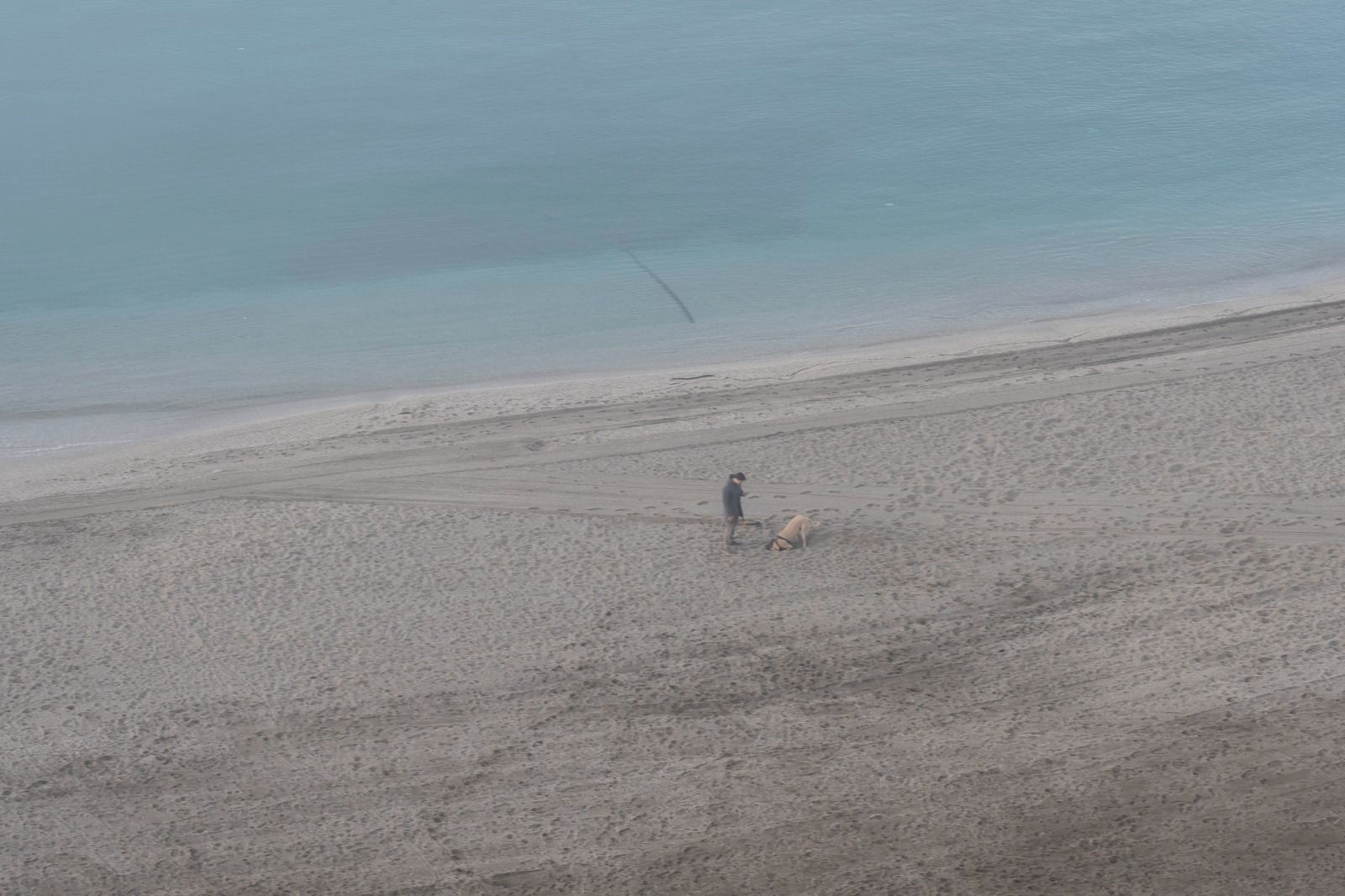 La playa en la niebla