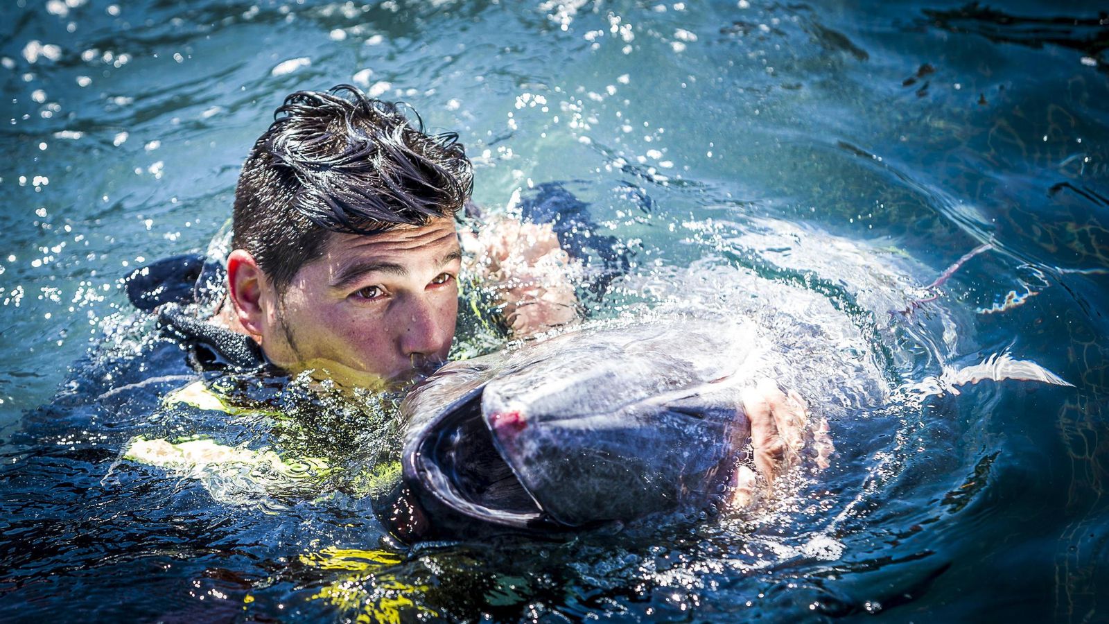 Un copejeador besa a un atún recién capturado en el copo.