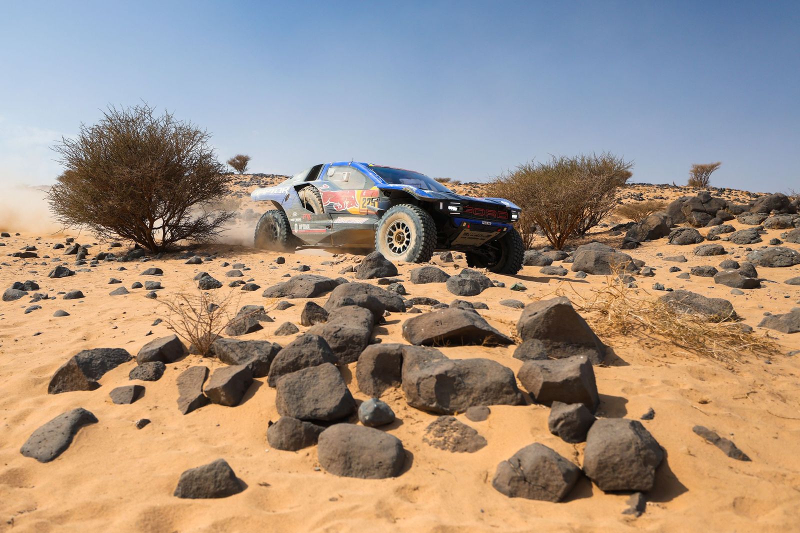Las mejores fotos del Rally Dakar | undécima etapa